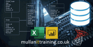 Excel, Power BI, SQL - with Mullan Training